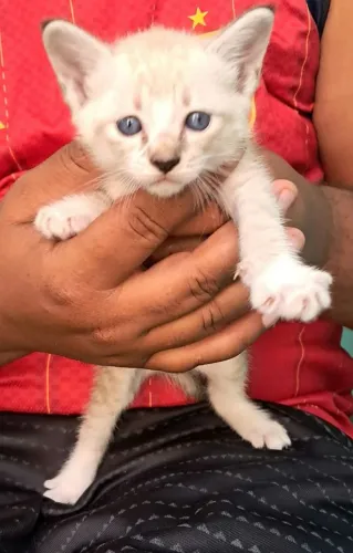 Linda menina laranjinha