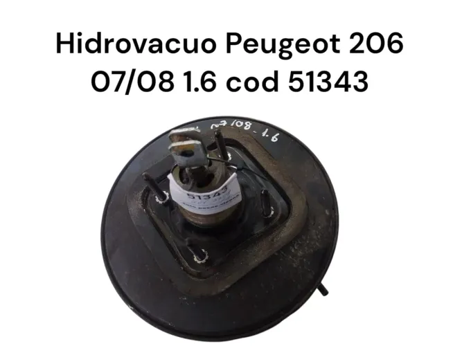 Hidrovacuo Peugeot 206