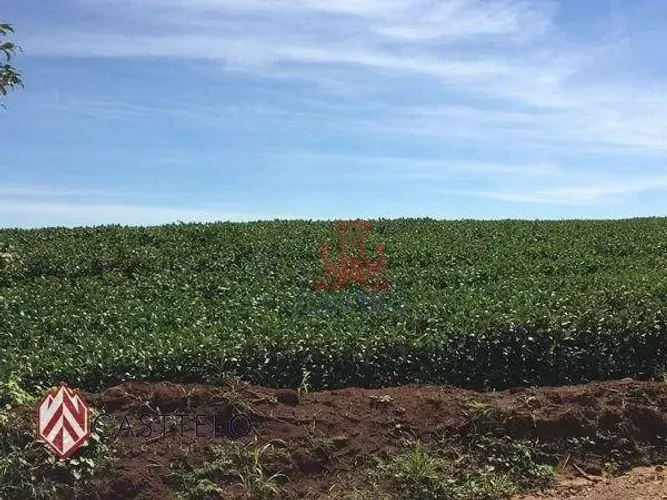 Sítio à venda, 27000 m² por R$ 2.500.000 - Gleba Ribeirão Cafezal - Londrina/PR