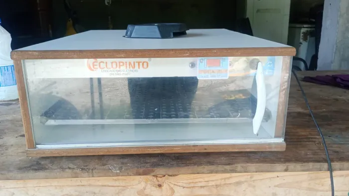 Chocadeira automática 