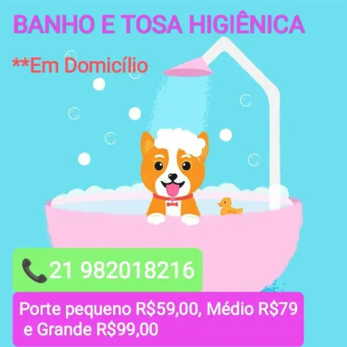 BANHO E TOSA HIGIÊNICA EM DOMICÍLIO 
