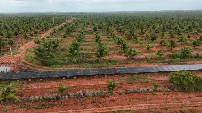 fazenda com 60 hectares plantada de coqueiros e banana com usina solar rica em água