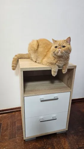 Mesa de cabeceira