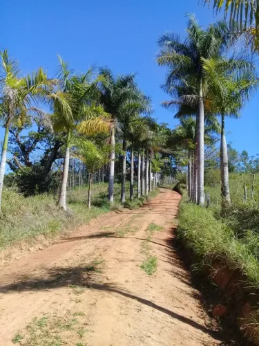 Propriedade Rural 