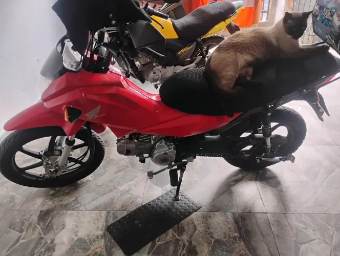 Pop 110i