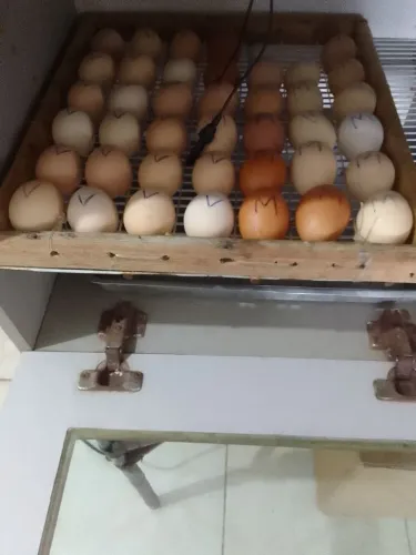 CHOCADEIRA ARTESANAL!