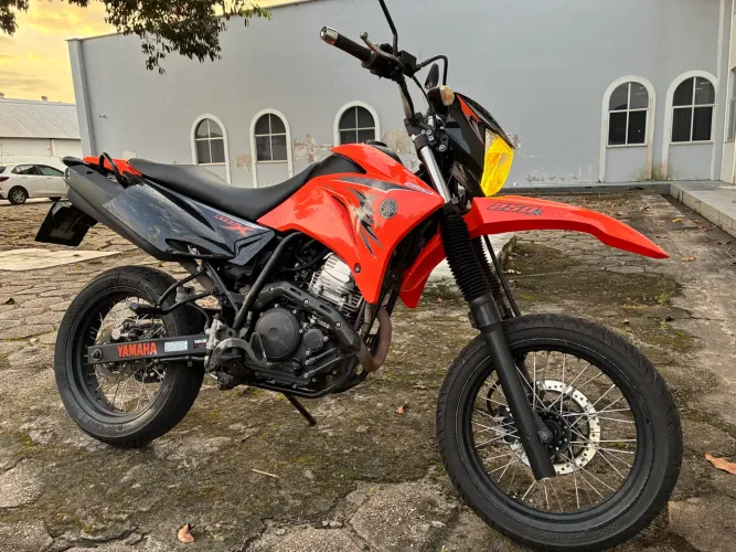 XTZ 250 X Blueflex