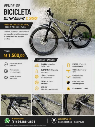 Bicicleta Ever