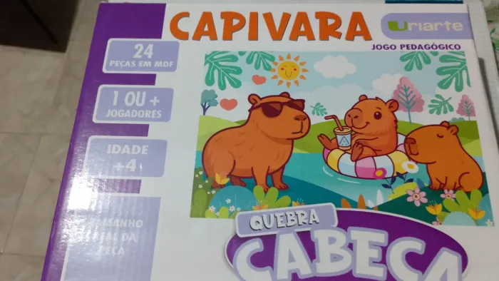 CAPIVARA JOGO PEDAGÓGICO 24 PEÇAS LACRADO R$ 39,99