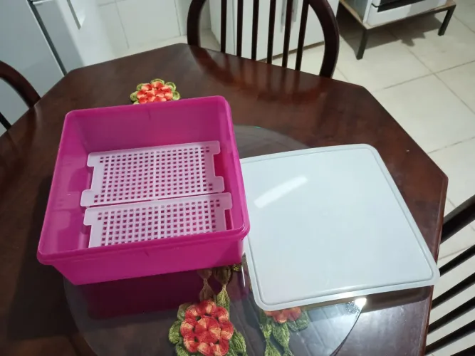 Bacia organizadora pra seus alimentos.