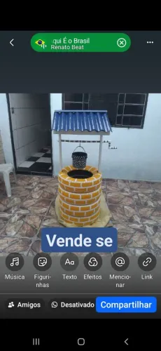 Pocinho enfeites