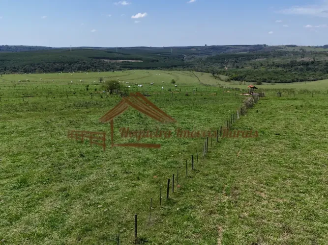 Fazenda com 187 alqueires na região de Bauru-SP