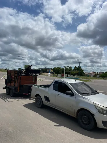 Fretes e mudanças