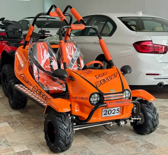 Mini Buggy Fapinha