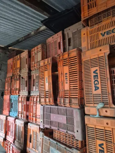 Vendo caixa de frutas