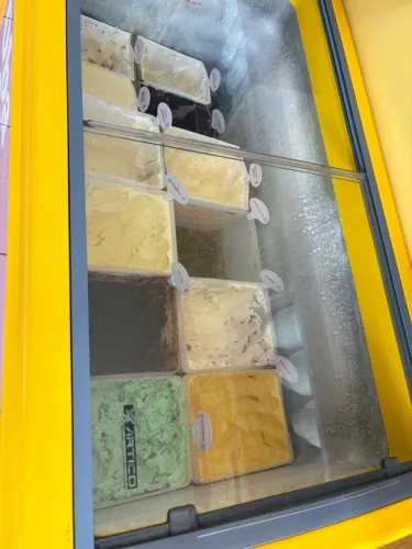 Freezer Artico 411l