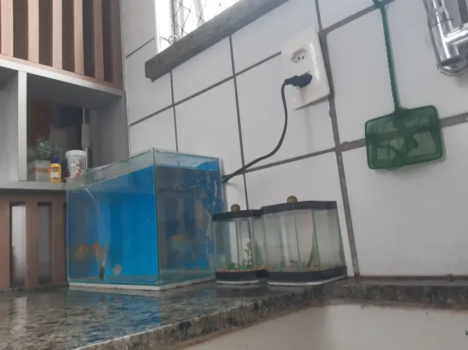 Aquários