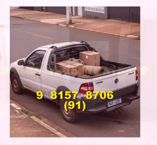 frete express! faça sua mudança com segurança e rapidez! contato pelo 62?9?9152?5201