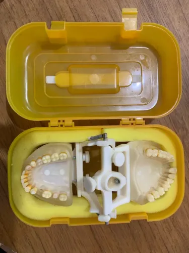 Manequim de periodontia 