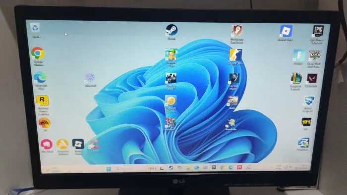 Monitor LG