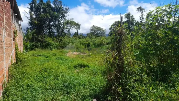 Terreno à venda, 293 m² por R$ 160.000 - Balneário dos Golfinhos - Caraguatatuba/SP