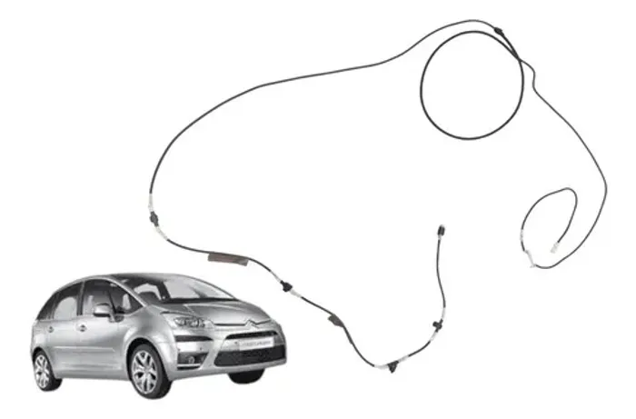 Cabo Antena Teto Citroen C4 Picasso 2009