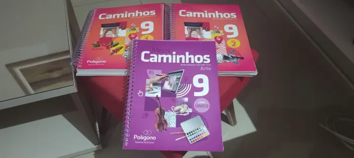 Livros Meus Caminhos 9