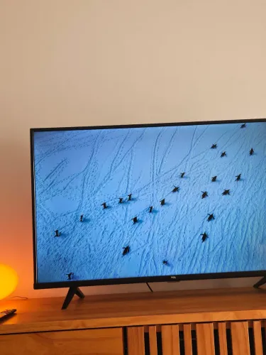 Smart TV 4K Ultra HD