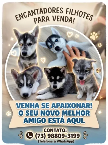 Filhotes para vendas