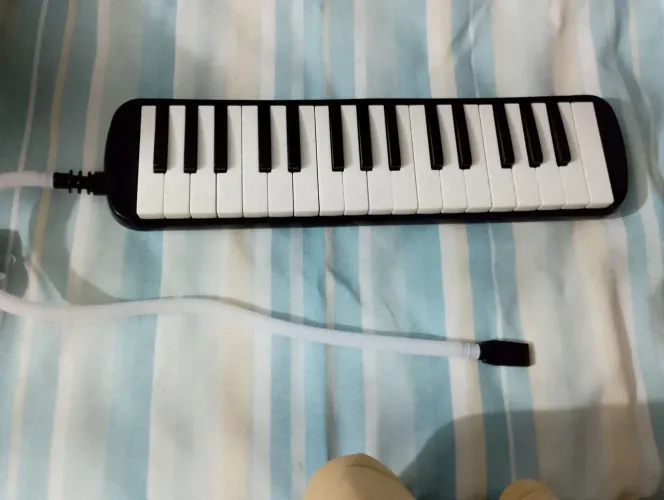 Escaleta Musical melódica + Brinde 