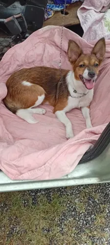 Bebê lindo