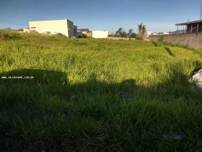 Terreno para Venda em Jacarezinho