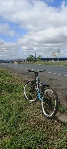 Viking x
