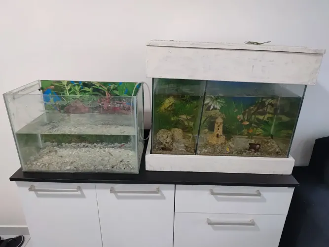 2 Aquários em bom estado