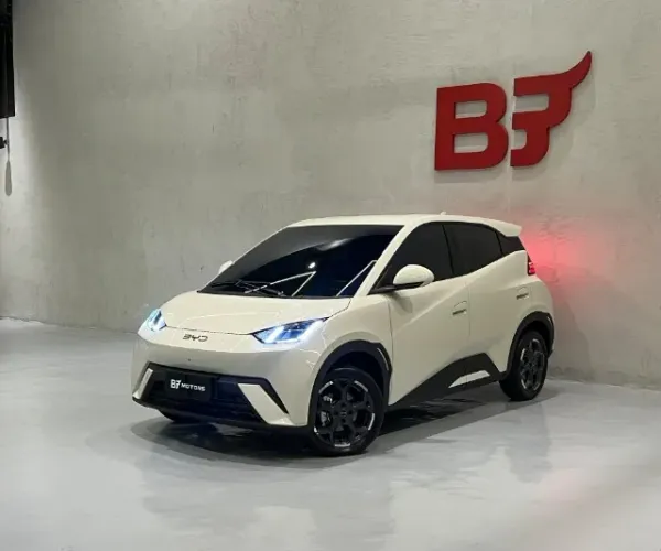 BYD Dolphin Mini (Elétrico) 2027
