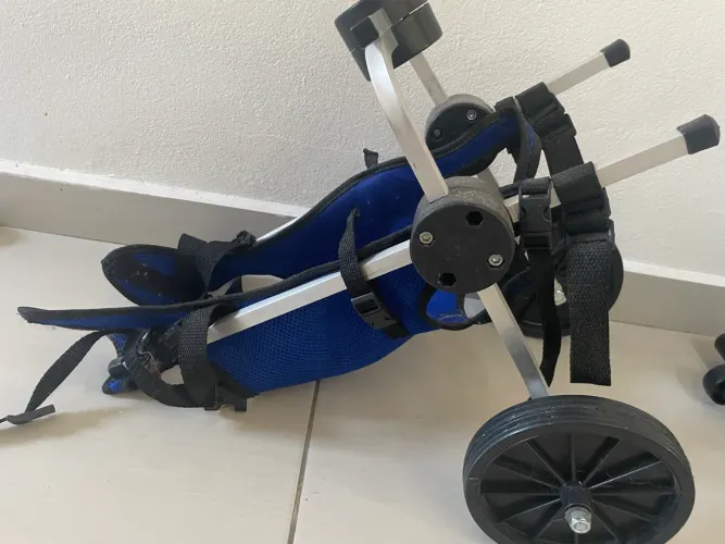 Carrinho pra diga