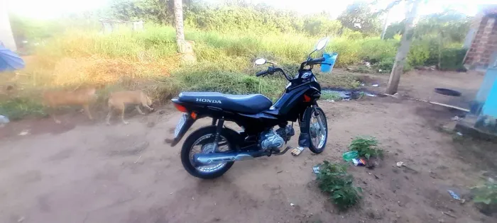 Honda pop 2023