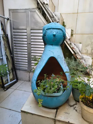 Vasos de planta estilizados 