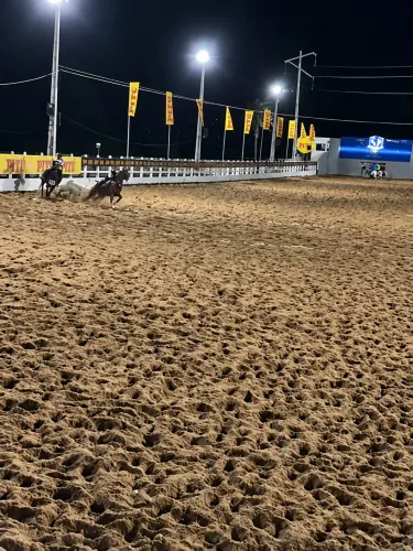 Cavalo de direita