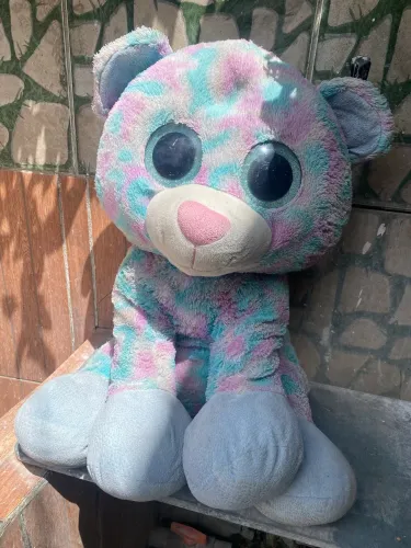 Urso zoião grandão