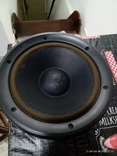 Alto falante technics 10 polegadas 