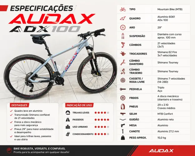 Bike Audax aro 29