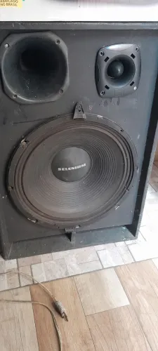 Caica de som passiva