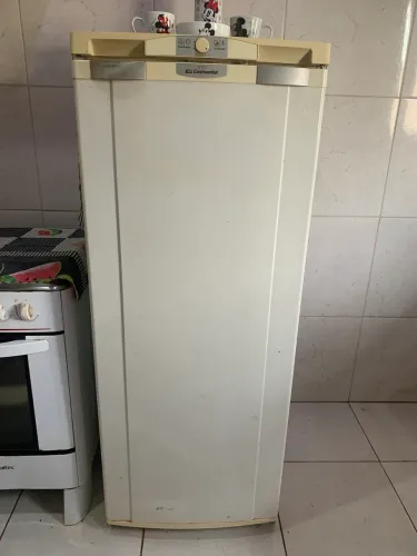 Geladeira Continental 270L - Funcionando Perfeitamente!