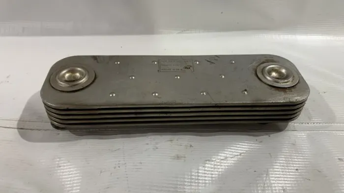 Resfriador de Oleo Motor Mwm Série 10 VW 13 180/ 15 180 6 Cilindros