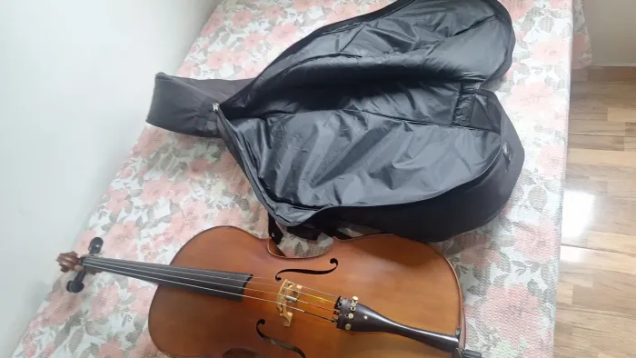 Violoncelo Eagle ce300 em Aracaju Sergipe