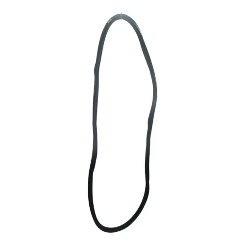 Borracha Porta Dianteira Direita Vw Nivus Polo Virtus