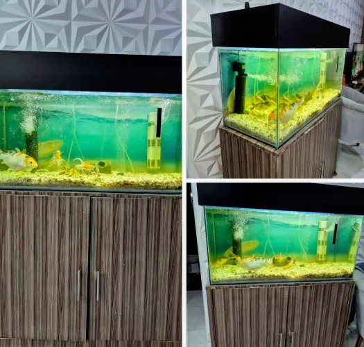 Aquario com armario
