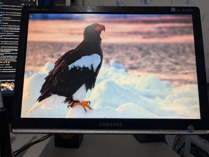Monitor SyncMaster 931bw