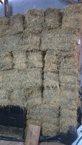 Feno de alfafa 3,50 o kg